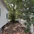 2 bedrooms apartment for rent in Cathedral District - Downtown JAX, Jacksonville