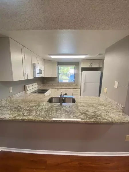 2 bedrooms apartment for rent in Carrollwood - North Tampa, Tampa