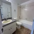 3 bedrooms apartment for rent in Carrollwood - North Tampa, Tampa