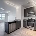 2 bedrooms apartment for rent in Anderson Mill - North Austin, Austin