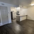 1 bedroom apartment for rent in North Shoal Creek - North Central Austin, Austin