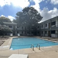 1 bedroom apartment for rent in North Shoal Creek - North Central Austin, Austin