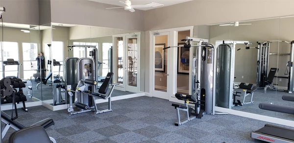 1 bedroom apartment for rent in Southeast Austin - South Austin, Austin