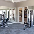 1 bedroom apartment for rent in Southeast Austin - South Austin, Austin