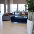 1 bedroom apartment for rent in Southeast Austin - South Austin, Austin