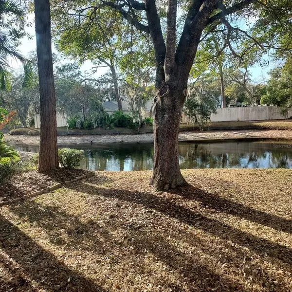 3 bedrooms apartment for rent in University - North Tampa, Tampa