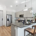 1 bedroom apartment for rent in Hunter Creek Village - West Houston, Houston