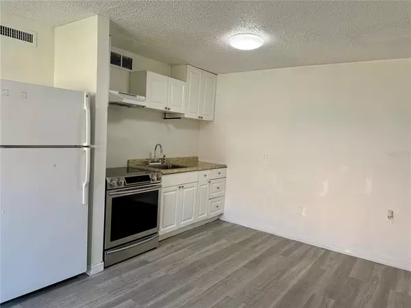 1 bedroom apartment for rent in Sulphur Springs - North Tampa, Tampa