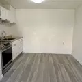 1 bedroom apartment for rent in Sulphur Springs - North Tampa, Tampa