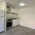 1 bedroom apartment for rent in Sulphur Springs - North Tampa, Tampa