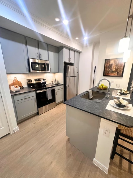 1 bedroom apartment for rent in Addicks - Nw Houston, Houston