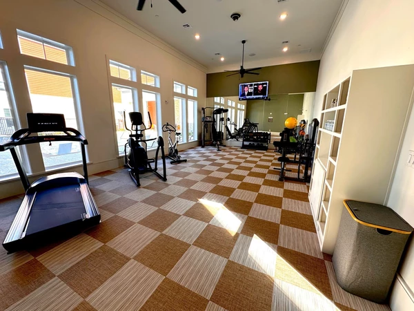 1 bedroom apartment for rent in Addicks - Nw Houston, Houston