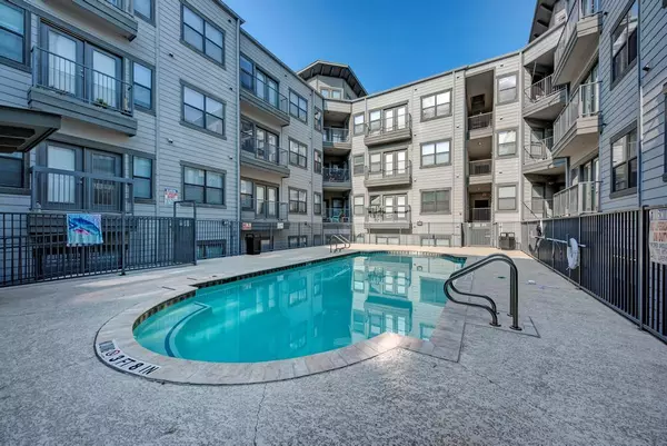 1 bedroom apartment for rent in Old West Austin - Central Austin, Austin