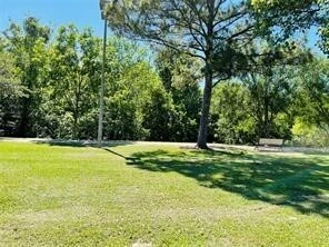 2 bedrooms apartment for rent in Briarforest - West Houston, Houston