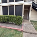 2 bedrooms apartment for rent in Briarforest - West Houston, Houston