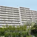 1 bedroom apartment for rent in Pico Union - Central Los Angeles, Los Angeles