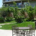 1 bedroom apartment for rent in Pico Union - Central Los Angeles, Los Angeles