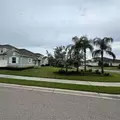 2 bedrooms apartment for rent in Sarasota Springs - Sarasota, Sarasota