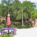 2 bedrooms apartment for rent in Osprey - Sarasota, Sarasota