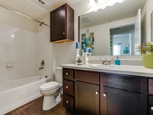 1 bedroom apartment for rent in Uptown Central - North SATX, San Antonio