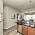 1 bedroom apartment for rent in Uptown - West Houston, Houston