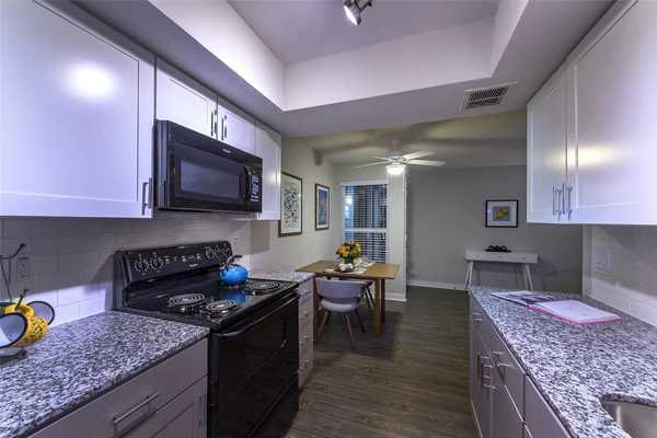 1 bedroom apartment for rent in Spring Branch Central - Nw Houston, Houston