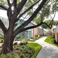 1 bedroom apartment for rent in Spring Branch Central - Nw Houston, Houston