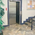 1 bedroom apartment for rent in Westwood - Westside / South Bay, Los Angeles