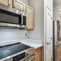 1 bedroom apartment for rent in Bayshore Beautiful - South Tampa, Tampa