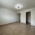 1 bedroom apartment for rent in Lawndale / Wayside - Inner Loop, Houston