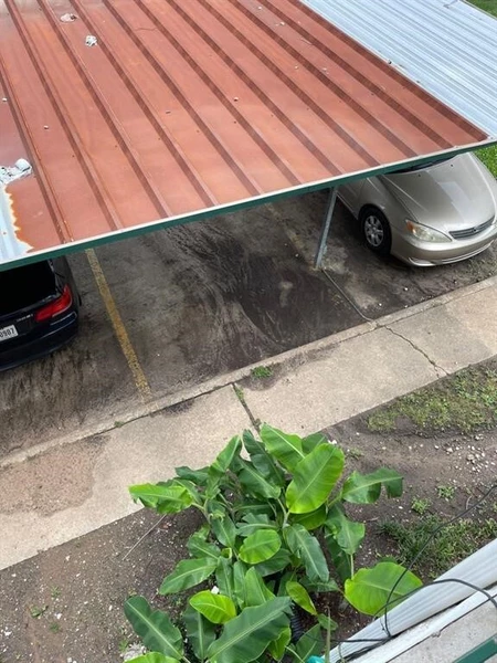 1 bedroom apartment for rent in Braeswood Place - Inner Loop, Houston