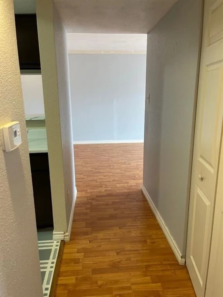 1 bedroom apartment for rent in Braeswood Place - Inner Loop, Houston
