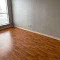 1 bedroom apartment for rent in Braeswood Place - Inner Loop, Houston