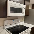 1 bedroom apartment for rent in Braeswood Place - Inner Loop, Houston