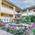 1 bedroom apartment for rent in Uptown - West Houston, Houston