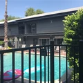 1 bedroom apartment for rent in South Congress - South Central Austin, Austin