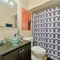 1 bedroom apartment for rent in South Congress - South Central Austin, Austin