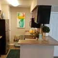 1 bedroom apartment for rent in Chinatown Houston - Sw Houston, Houston