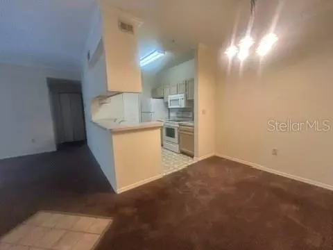 1 bedroom apartment for rent in Carrollwood - North Tampa, Tampa