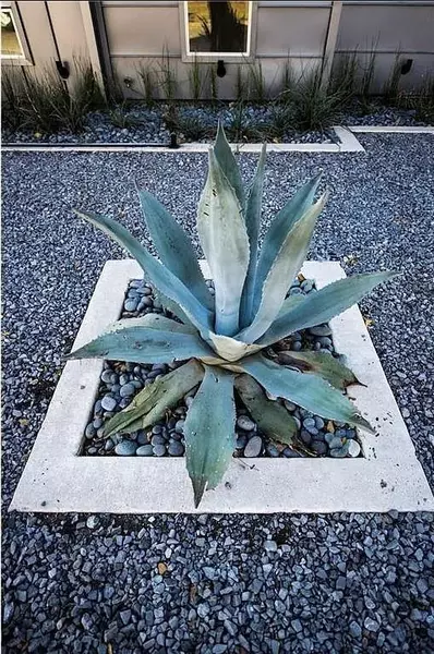 3 bedrooms apartment for rent in Old East Dallas - Ne Dallas, Dallas