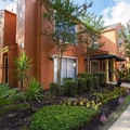 1 bedroom apartment for rent in Braeswood Place - Inner Loop, Houston