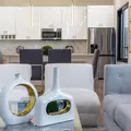 2 bedrooms apartment for rent in Old East Dallas - Ne Dallas, Dallas