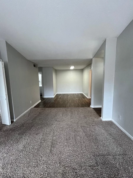 2 bedrooms apartment for rent in Chinatown Houston - Sw Houston, Houston