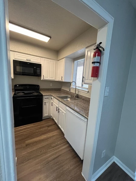 2 bedrooms apartment for rent in Chinatown Houston - Sw Houston, Houston