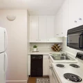 1 bedroom apartment for rent in Hyde Park ATX - Central Austin, Austin