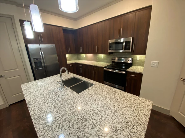 2 bedrooms apartment for rent in Downtown Houston - Inner Loop, Houston