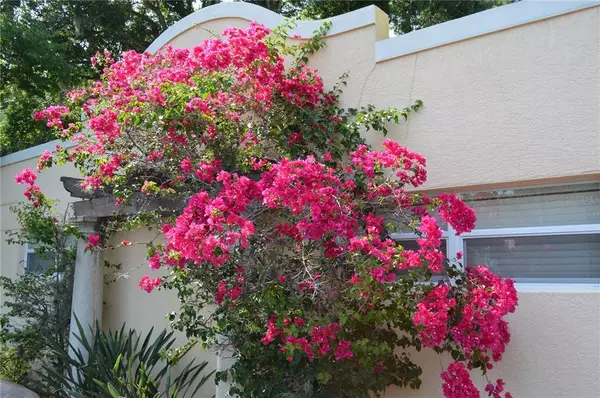 2 bedrooms apartment for rent in Sarasota - Sarasota, Sarasota