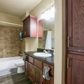 3 bedrooms apartment for rent in Old West Austin - Central Austin, Austin