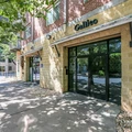 3 bedrooms apartment for rent in Old West Austin - Central Austin, Austin