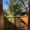 1 bedroom apartment for rent in Old West Austin - Central Austin, Austin